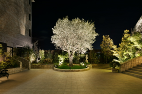 ノーザンチャーチ北山