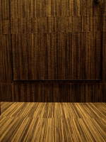 cinema & audio kyoto (ｵｰﾃﾞｨｵｼｮｯﾌﾟ)